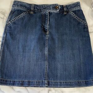 Ann Taylor Blue Casual Skirt